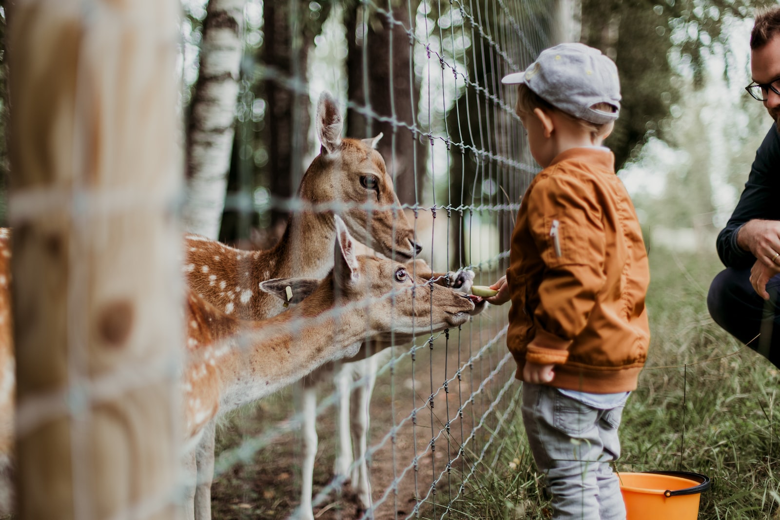 Der er mange skønne dyr i zoo